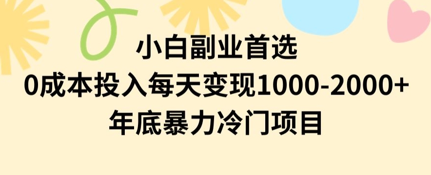 小白副业首选，0成本投入，每天变现1000-2000年底暴力冷门项目【揭秘】-网创资源吧