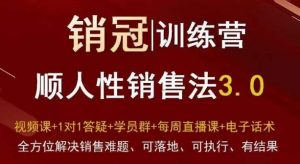爆款!销冠训练营3.0之顺人性销售法,全方位解决销售难题、可落地、可执行、有结果-网创资源吧