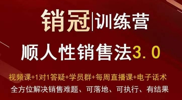 爆款！销冠训练营3.0之顺人性销售法，全方位解决销售难题、可落地、可执行、有结果-网创资源吧