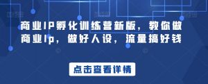 商业IP孵化训练营新版,教你做商业Ip,做好人设,流量搞好钱-网创资源吧