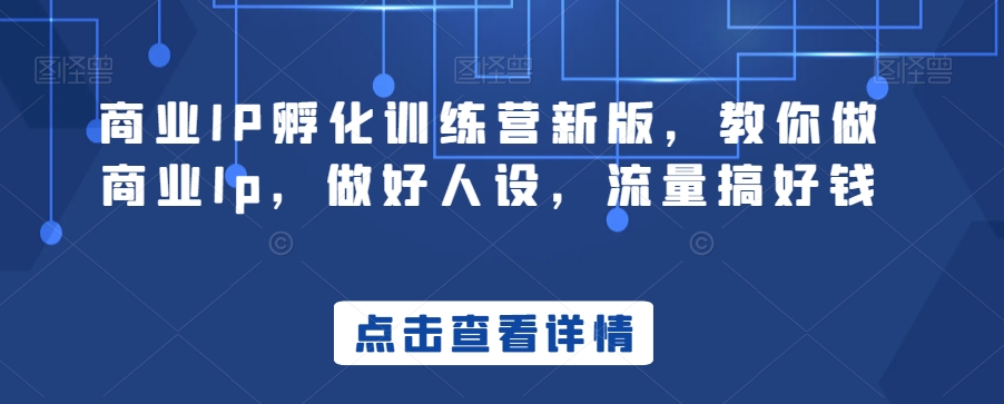 商业IP孵化训练营新版，教你做商业Ip，做好人设，流量搞好钱-网创资源吧