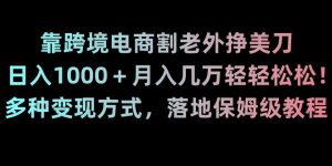 靠跨境电商割老外挣美刀,日入1000+月入几万轻轻松松!多种变现方式,落地保姆级教程【揭秘】-网创资源吧