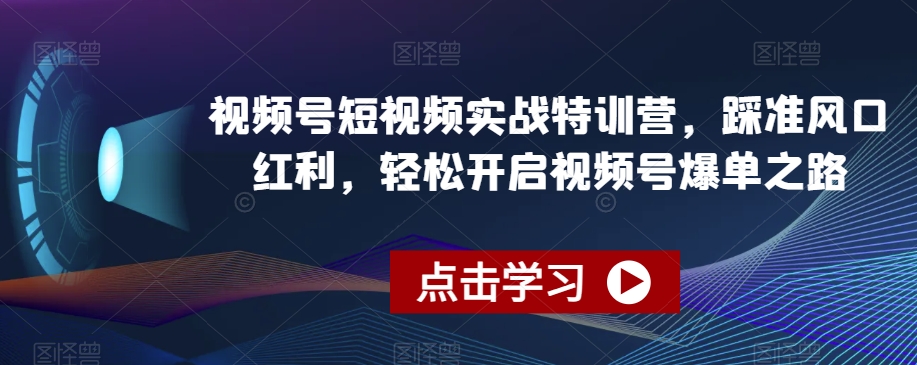视频号短视频实战特训营，踩准风口红利，轻松开启视频号爆单之路-网创资源吧