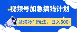 视频号加急搞钱计划,蓝海冷门玩法,日入500+【揭秘】-网创资源吧