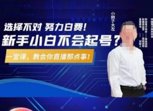 大左教您从0到1做直播带货,选择不对,努力白费,5小时课程搞定那点事,解决你起号问题-网创资源吧