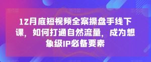 12月底短视频全案操盘手线下课,如何打通自然流量,成为想象级IP必备要素-网创资源吧