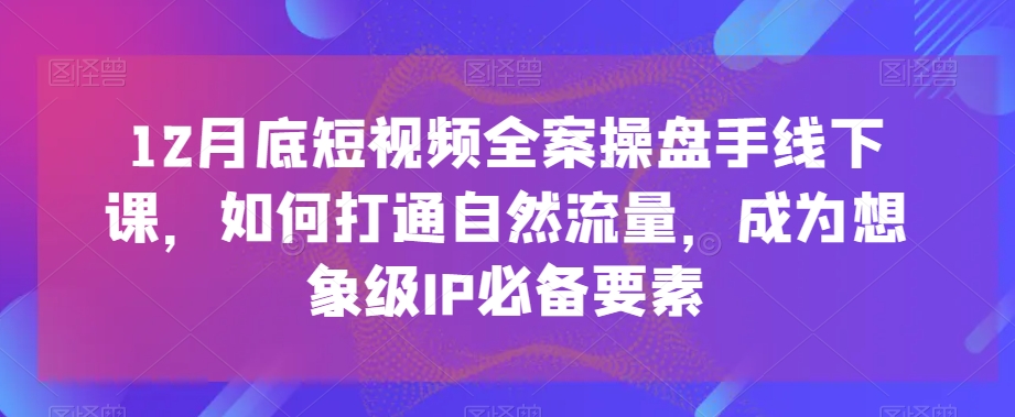 12月底短视频全案操盘手线下课，如何打通自然流量，成为想象级IP必备要素-网创资源吧