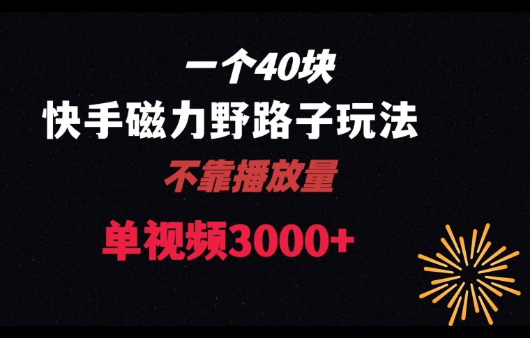 一个40块，快手联合美团磁力新玩法，无视机制野路子玩法，单视频收益4位数【揭秘】-网创资源吧