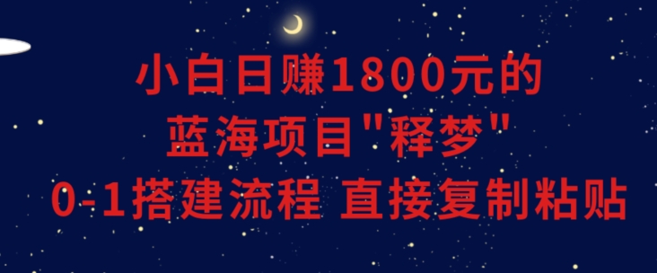 小白能日赚1800元的蓝海项目”释梦”0-1搭建流程可直接复制粘贴长期做【揭秘】-网创资源吧