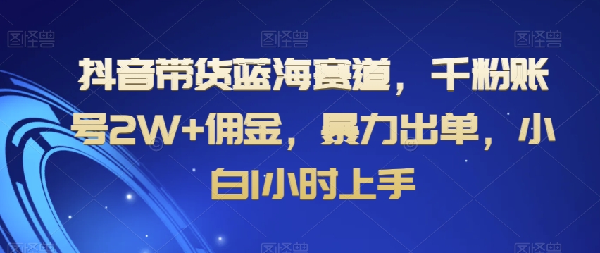 抖音带货蓝海赛道，千粉账号2W+佣金，暴力出单，小白1小时上手【揭秘】-网创资源吧