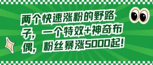 两个快速涨粉的野路子,一个特效+神奇布偶,粉丝暴涨5000起【揭秘】-网创资源吧