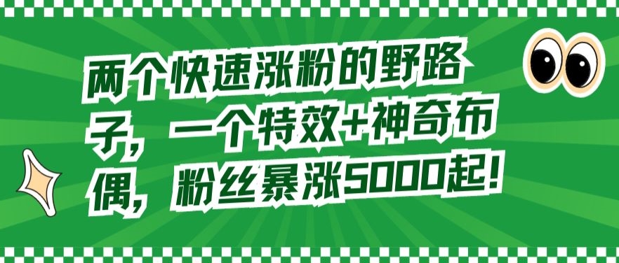 两个快速涨粉的野路子，一个特效+神奇布偶，粉丝暴涨5000起【揭秘】-网创资源吧