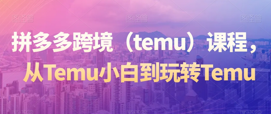 拼多多跨境（temu）课程，从Temu小白到玩转Temu-网创资源吧