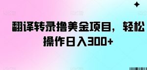 翻译转录撸美金项目,轻松操作日入300+【揭秘】-网创资源吧