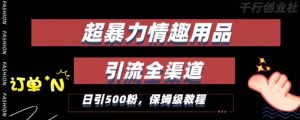 最新情趣项目引流全渠道,自带高流量,保姆级教程,轻松破百单,日引500+粉【揭秘】-网创资源吧