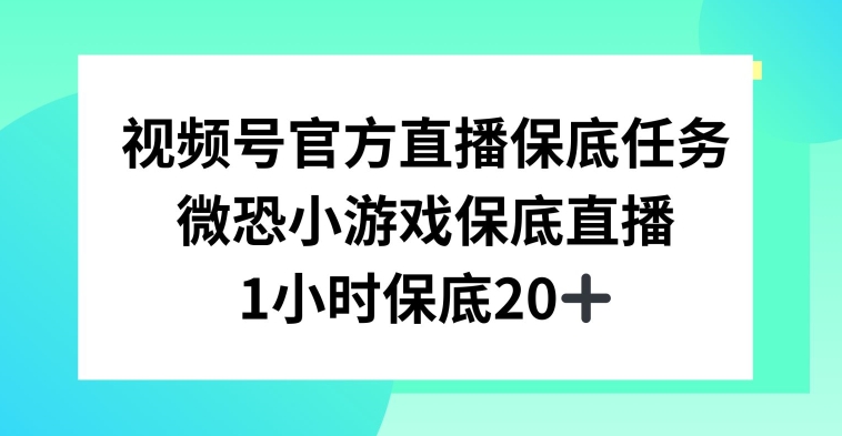 视频号直播任务，微恐小游戏，1小时20+【揭秘】-网创资源吧