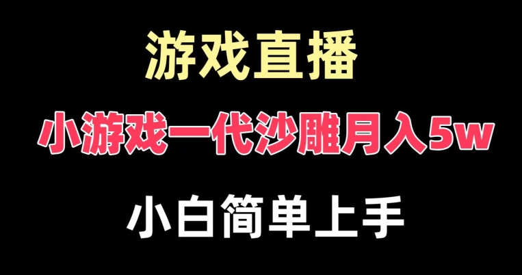 玩小游戏一代沙雕月入5w，爆裂变现，快速拿结果，高级保姆式教学【揭秘】-网创资源吧