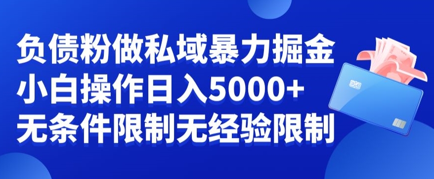 负债粉私域暴力掘金，小白操作入5000，无经验限制，无条件限制【揭秘】-网创资源吧