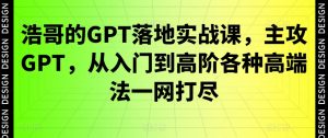 浩哥的GPT落地实战课,主攻GPT,从入门到高阶各种高端法一网打尽-网创资源吧
