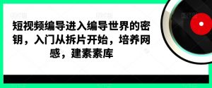 短视频编导进入编导世界的密钥，入门从拆片开始，培养网感，建素素库-网创资源吧