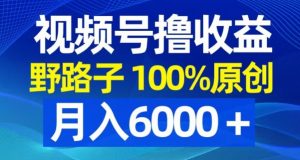 视频号野路子撸收益，100%原创，条条爆款，月入6000＋【揭秘】-网创资源吧