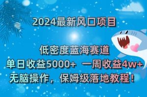 2024最新风口项目,低密度蓝海赛道,单日收益5000+,一周收益4w+!【揭秘】-网创资源吧
