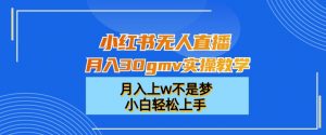 小红书无人直播月入30gmv实操教学,月入上w不是梦,小白轻松上手【揭秘】-网创资源吧