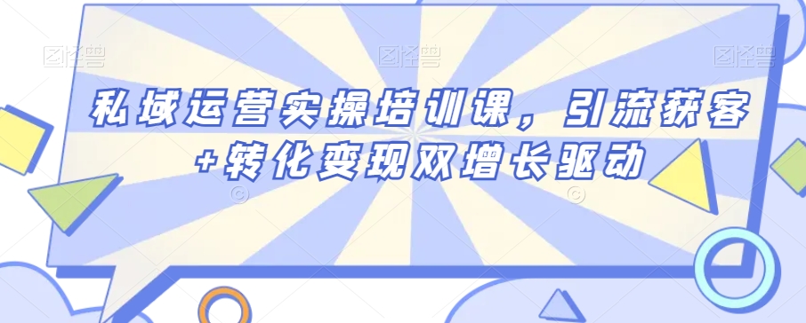 私域运营实操培训课，引流获客+转化变现双增长驱动-网创资源吧