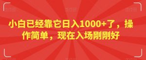 小白已经靠它日入1000+了,操作简单,现在入场刚刚好【揭秘】-网创资源吧