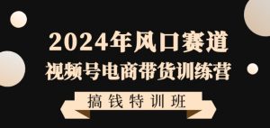 2024年风口赛道视频号电商带货训练营搞钱特训班，带领大家快速入局自媒体电商带货-网创资源吧