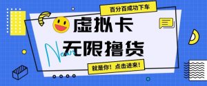 虚拟卡无限撸货,百分百成功下车【仅揭秘】-网创资源吧
