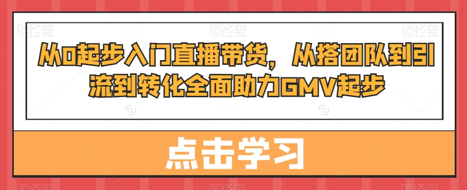从0起步入门直播带货，​从搭团队到引流到转化全面助力GMV起步-网创资源吧