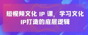短视频文化IP课，学习文化IP打造的底层逻辑-网创资源吧