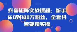抖音矩阵实战课程:新手从0到100万粉丝,全套抖音变现实操-网创资源吧