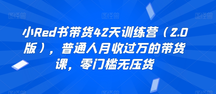 小Red书带货42天训练营（2.0版），普通人月收过万的带货课，零门槛无压货-网创资源吧