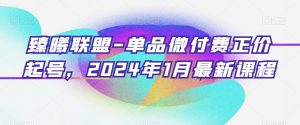 臻曦联盟-单品微付费正价起号,2024年1月最新课程-网创资源吧