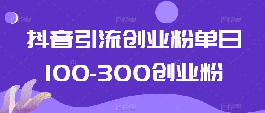 抖音引流创业粉单日100-300创业粉【揭秘】-网创资源吧
