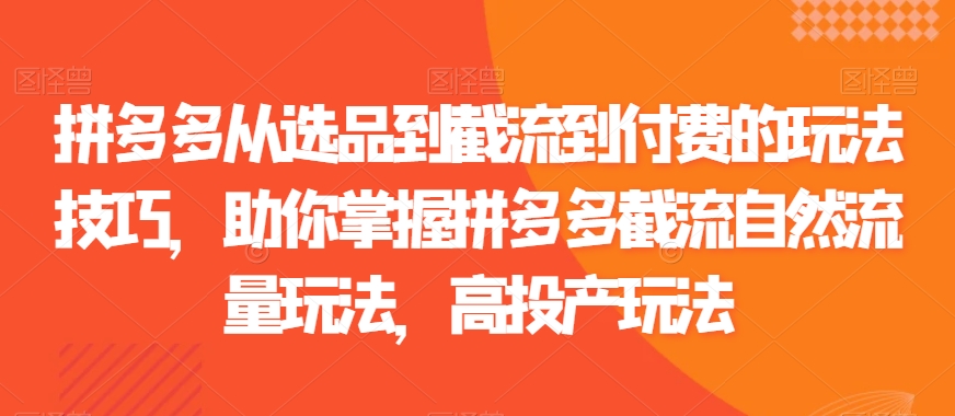 拼多多从选品到截流到付费的玩法技巧，助你掌握拼多多截流自然流量玩法，高投产玩法-网创资源吧