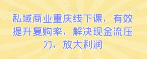 私域商业重庆线下课,有效提升复购率,解决现金流压力,放大利润-网创资源吧