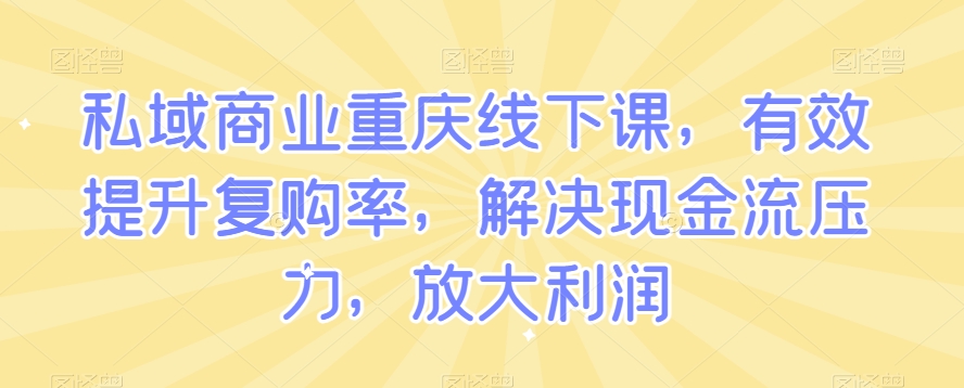 私域商业重庆线下课，有效提升复购率，解决现金流压力，放大利润-网创资源吧