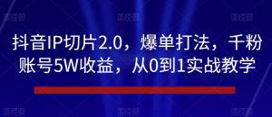 抖音IP切片2.0，爆单打法，千粉账号5W收益，从0到1实战教学【揭秘】-网创资源吧