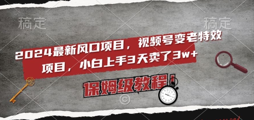 2024最新风口项目，视频号变老特效项目，电脑小白上手3天卖了3w+，保姆级教程【揭秘】-网创资源吧