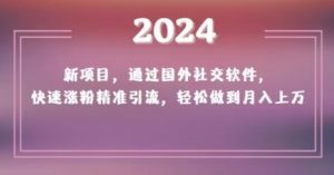 2024新项目,通过国外社交软件,快速涨粉精准引流,轻松做到月入上万【揭秘】-网创资源吧