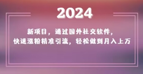 2024新项目，通过国外社交软件，快速涨粉精准引流，轻松做到月入上万【揭秘】-网创资源吧