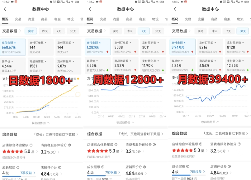 拼多多虚拟电商训练营月入30000+你也行，暴利稳定长久，副业首选-网创资源吧