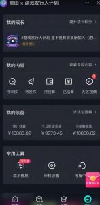 游戏发行人计划最新玩法，单条变现10000+，小白无脑掌握【揭秘】-网创资源吧