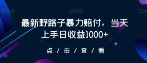 最新野路子暴力赔付，当天上手日收益1000+【仅揭秘】-网创资源吧