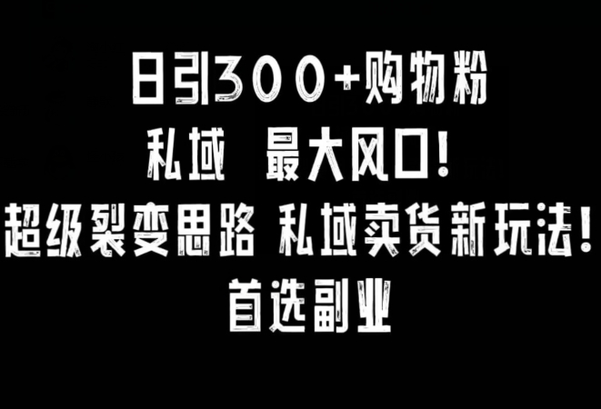 日引300+购物粉，超级裂变思路，私域卖货新玩法，小红书首选副业【揭秘】-网创资源吧