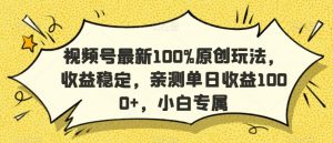 视频号最新100%原创玩法,收益稳定,亲测单日收益1000+,小白专属【揭秘】-网创资源吧