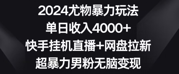 2024尤物暴力玩法，单日收入4000+，快手挂机直播+网盘拉新，超暴力男粉无脑变现【揭秘】-网创资源吧